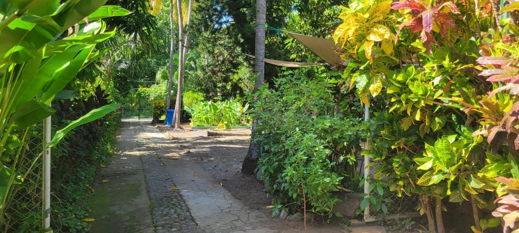 Hostal Tia Reyna El Zonte Zewnętrze zdjęcie